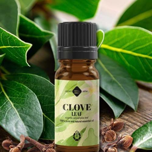 Clove Leaf Oil
